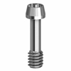 Picture of Screw for ANGLEBase  - 4.2/ AnyRidge - 19.460 option for DESS Products product (BlueSkyBio.com)