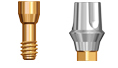 Picture of KISS Abutment RP Platform (BlueSkyBio.com)