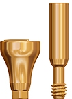 Picture of Ø6.5 x 7mm Scannable Healing Abutment, Regular Platform option for Scannable Healing Abutments - COMING SOON! product (BlueSkyBio.com)