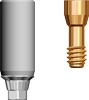 Picture of Gold Abutment RP Platform (BlueSkyBio.com)